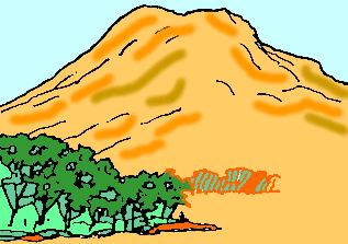 山と麓の林